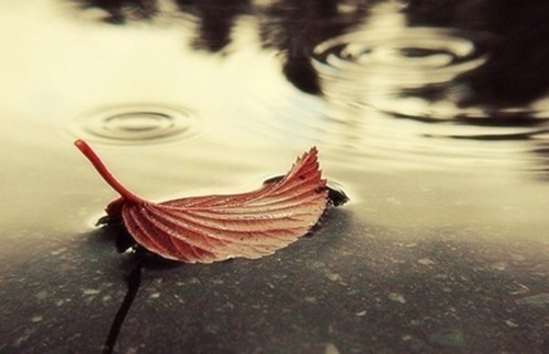 雨中即景