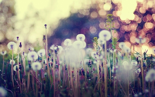 With Or Without You