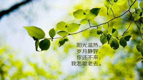 夢露廣場舞健身操又見山里紅