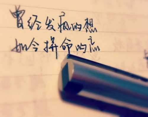 蘭州親水平臺蓮花