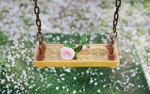 紫蓮花