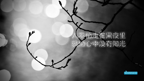 中老年廣場舞越跳越美