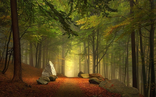 搖籃曲 - Richard Clayderman