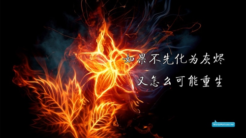 吉祥安康廣場舞的慢動作