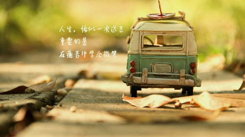 云紫燕