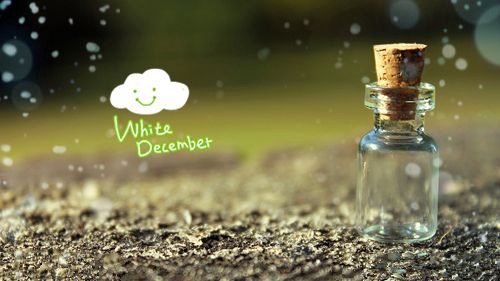 燃燒的愛火廣場舞完整版慢教程