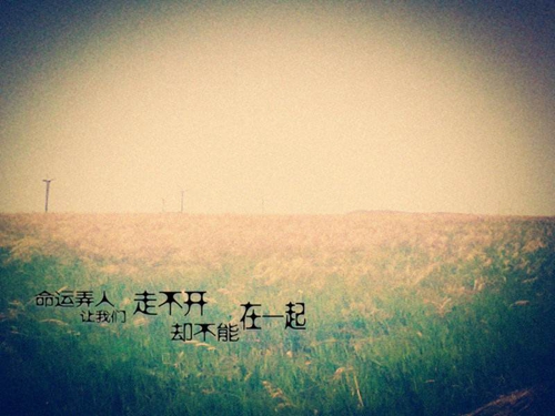 銅陵飛揚