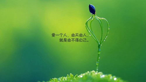 廣場八步舞老閨女教程