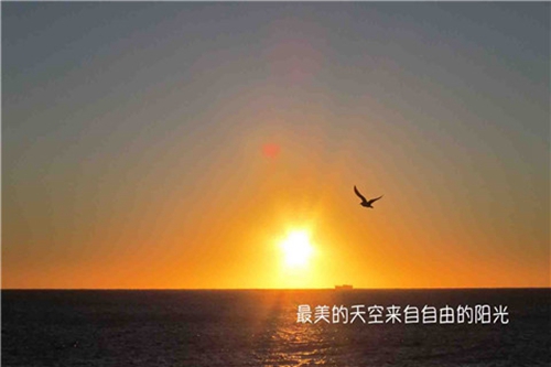 恰恰舞廣場舞烏藍山下一朵花