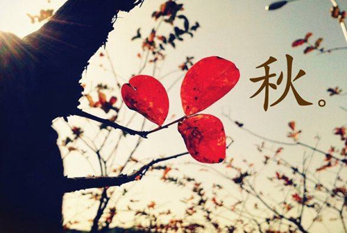 棗莊大型廣場舞健身操