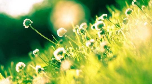 思念情緣平安吉祥廣場舞