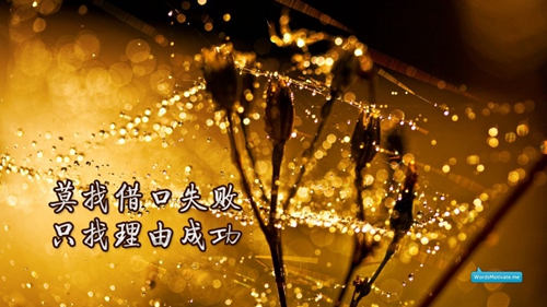 俏佳人