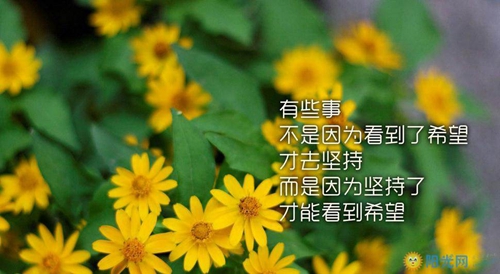 云裳愛火廣場舞