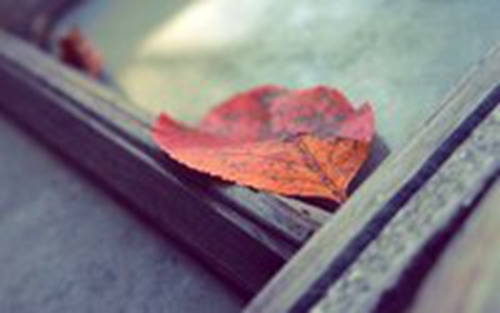 廣場舞開門紅教程