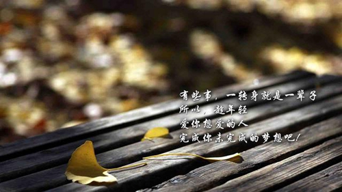 廣場舞印度之花舞曲下載