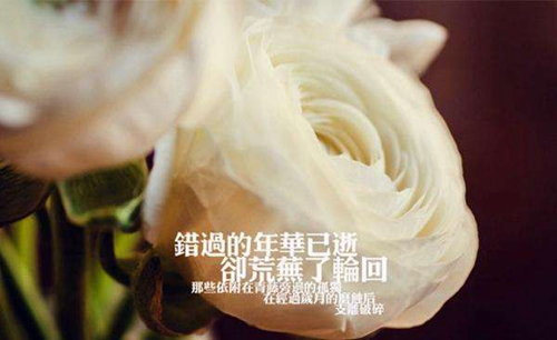 男士廣場舞初步教學視頻教程