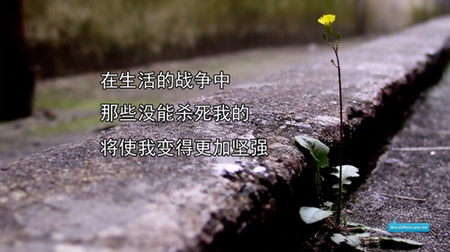 廣場舞親親茉莉舞蹈視頻