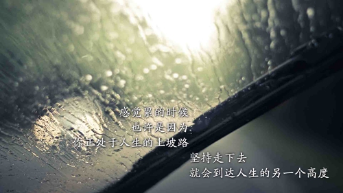 茉莉廣場舞雪山