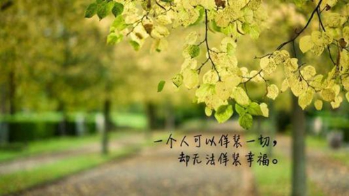 動動廣場舞兄妹情