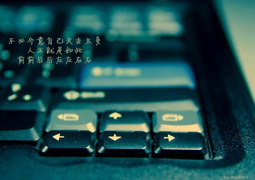 雙人廣場舞姑娘別走分解教程