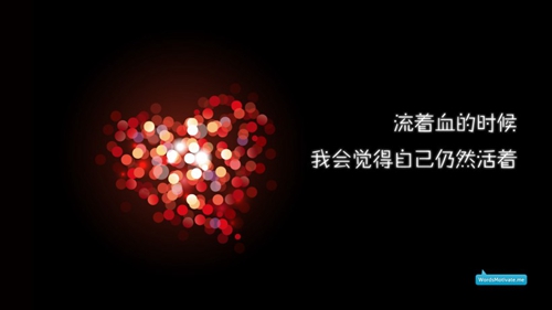 云裳廣場舞獨愛一枝花教學版