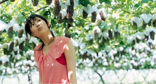 戲曲廣場舞視頻下載網站
