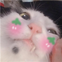 看你頭像很有氣質,想和你交個朋友3