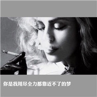 戴豬頭套的貓咪圖片6