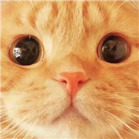 紅眼兄弟頭像男3