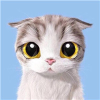頭像情侶人和貓5