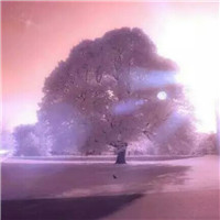q版姐妹頭像10