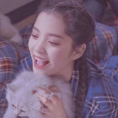 qq動物頭像 萌寵高清13