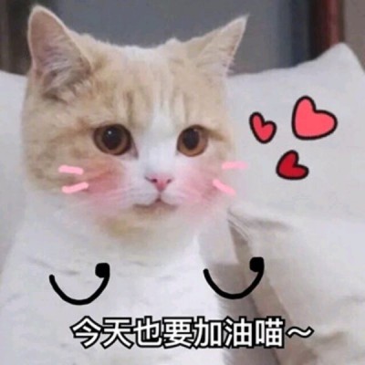 微信麥穗頭像5