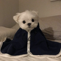 好句圖片大全唯美8