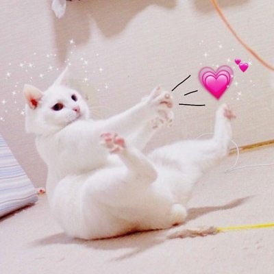 歐美范姐妹頭像一左一右6