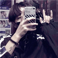 QQ頭像搞笑狗11
