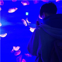 重慶大學圖片高清圖片壁紙7