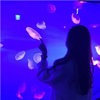 孩子的頭像圖片7